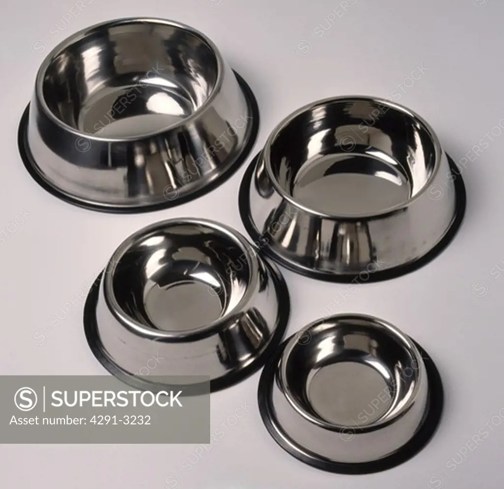 Close-up of four circular stainless-steel dog-food bowls