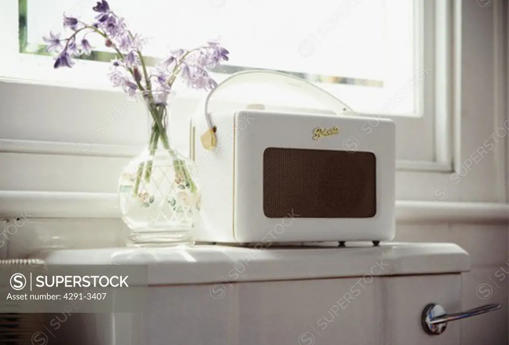 Traditional white radio and glass vase of flowers on top of white toilet cistern