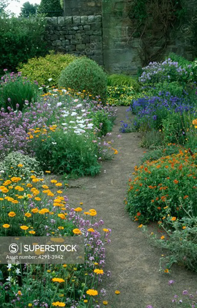 Earth path though colourful herbaceous borders in walled country garden in summer