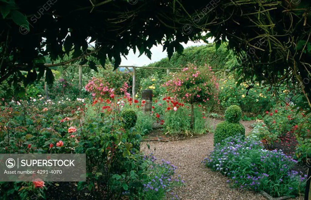 Gravel path through rose garden with colourful perennials in large country garden in summer