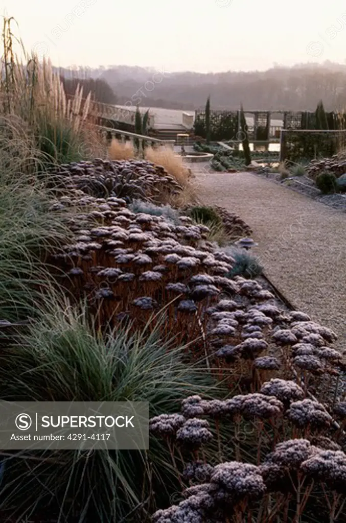 Path and borders with frosted plants in country garden in winter