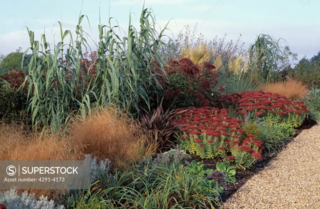 Gravel path and borders with grasses and sedum in large country garden in Autumn