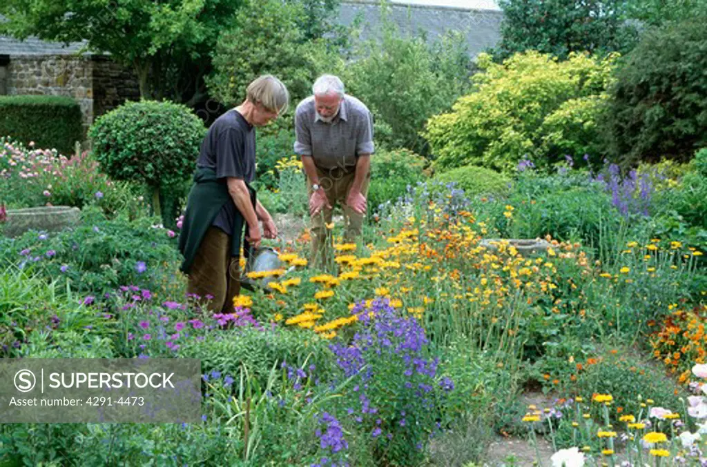 Woman watering herbaceous border in country garden with man looking on