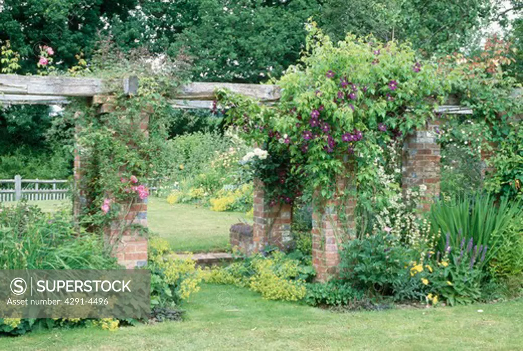 Purple clematis on wooden pergola linking brick wall in large country garden in summer