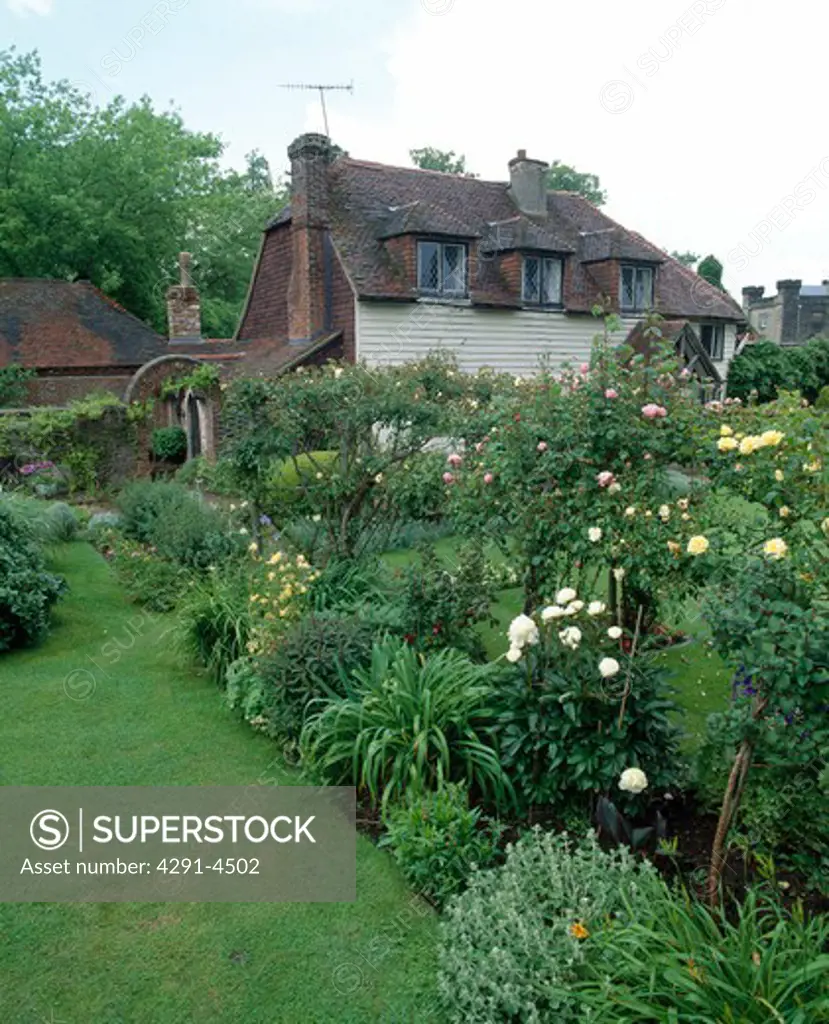 Narrow perennial border backed with rose covered rustic fence in a cottage garden.