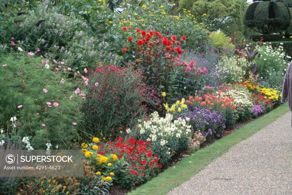 Colourful flowering plants in herbaceous border in large country garden in summer