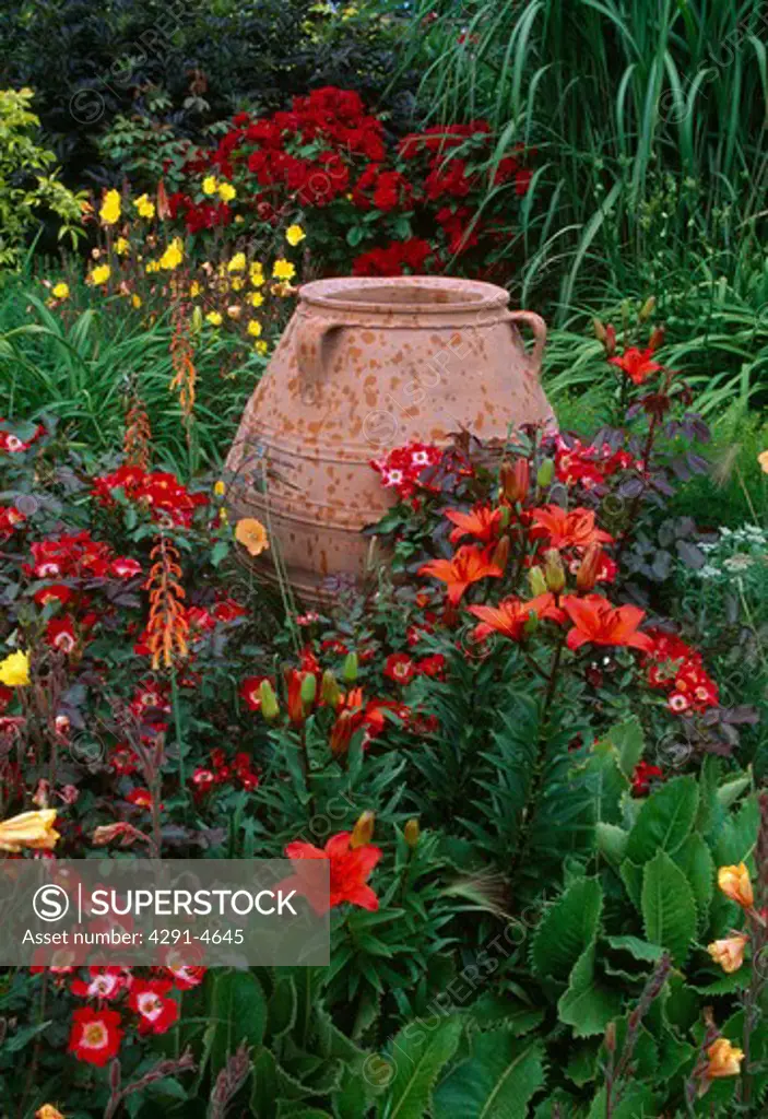 Terracottaurnsurrounded with a dense planting oforange liliies and evening primrose.