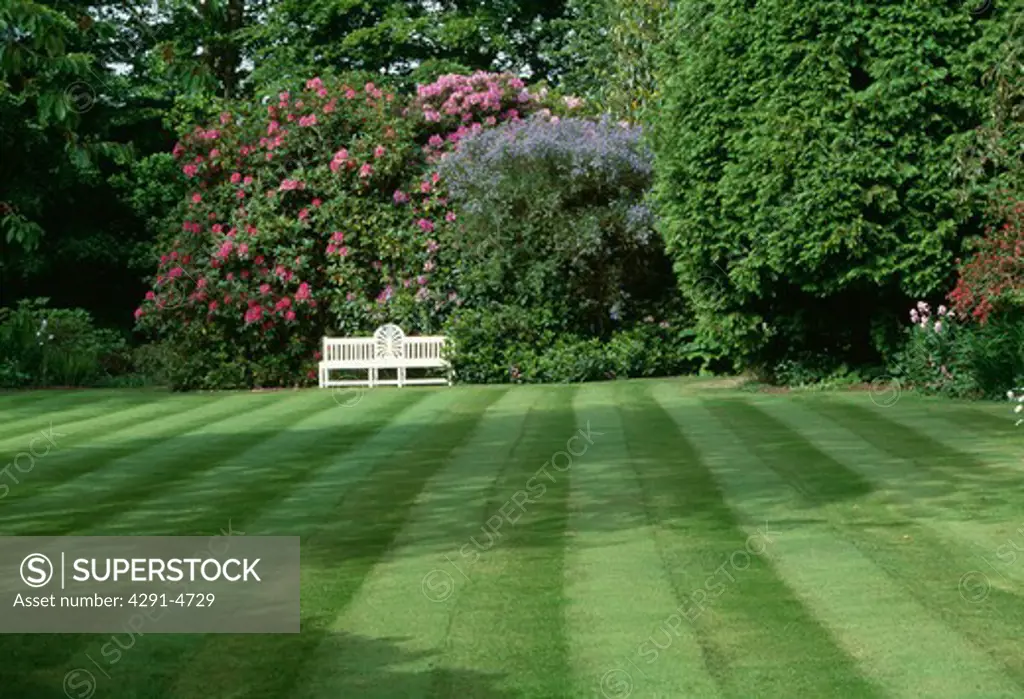 Mown stripes on lawn in large country garden in Spring