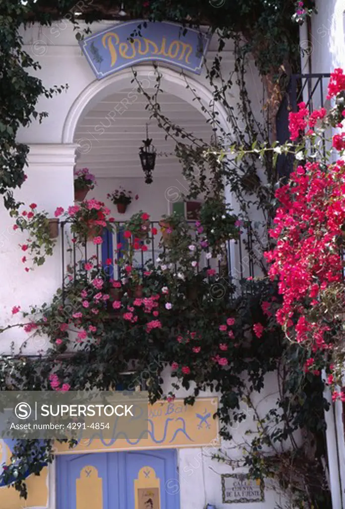 Pink roses on balcony of Spanish townhouse