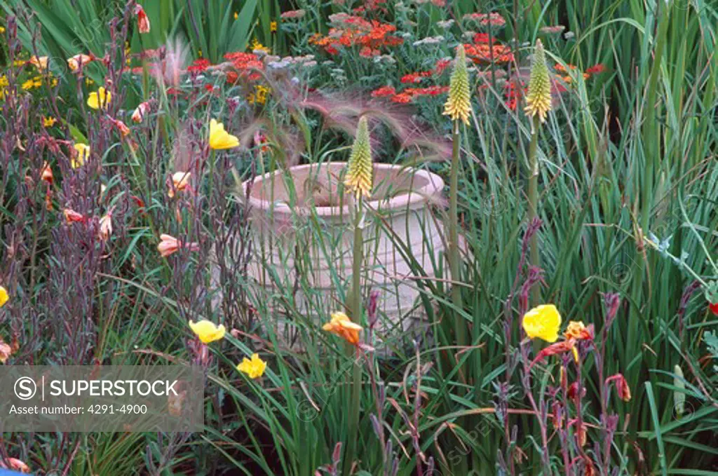 Close-up of large terracotta pot in summer garden border with yellow kniphofia and evening primrose