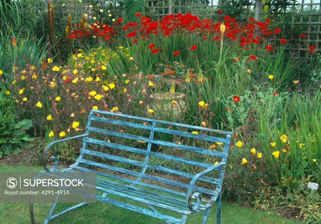 Old blue metal bench in front of summer garden border with red Crocosmia Lucifer and yellow evening primrose