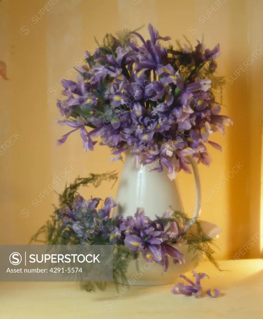 Still-Life of floral arrangement of blue irises