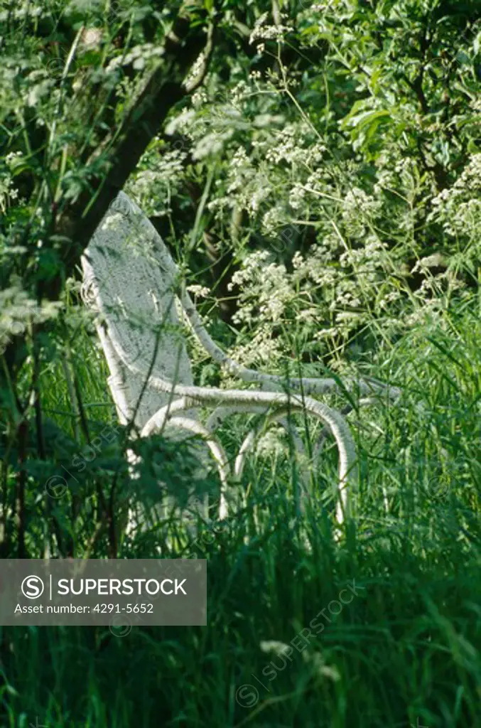 Close-up of old white wicker chair in long grass below tree in wild summer garden with cow-parsley
