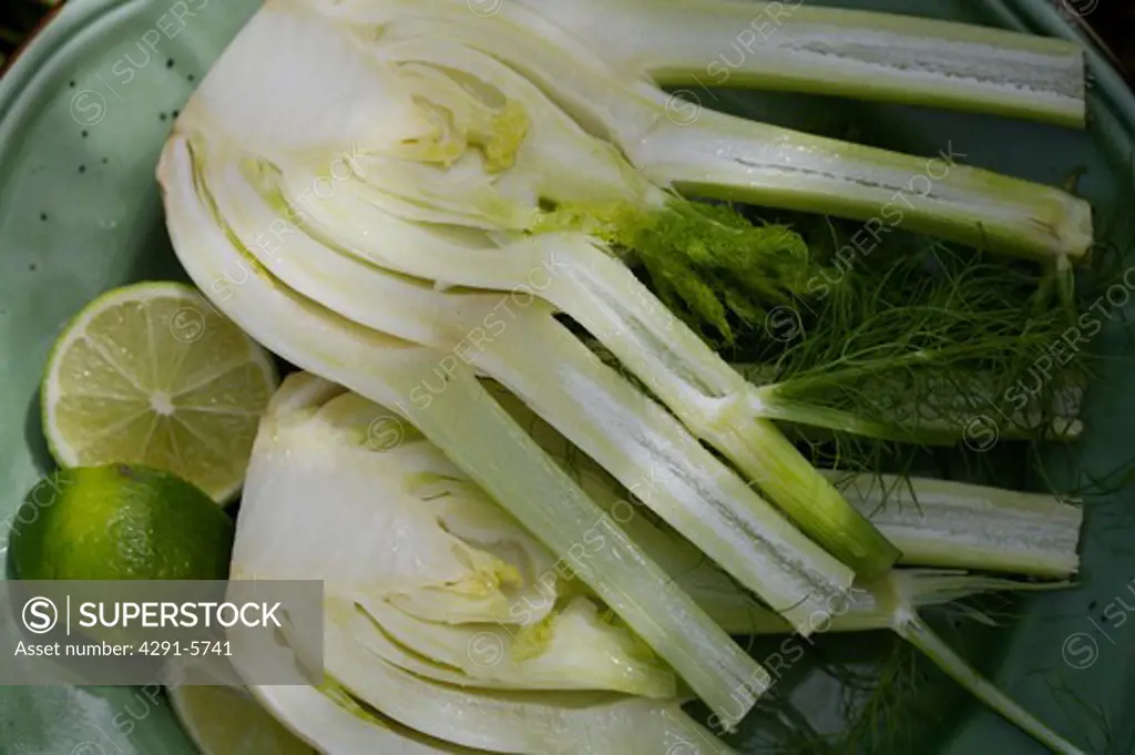Close-up of fennel bulb halves