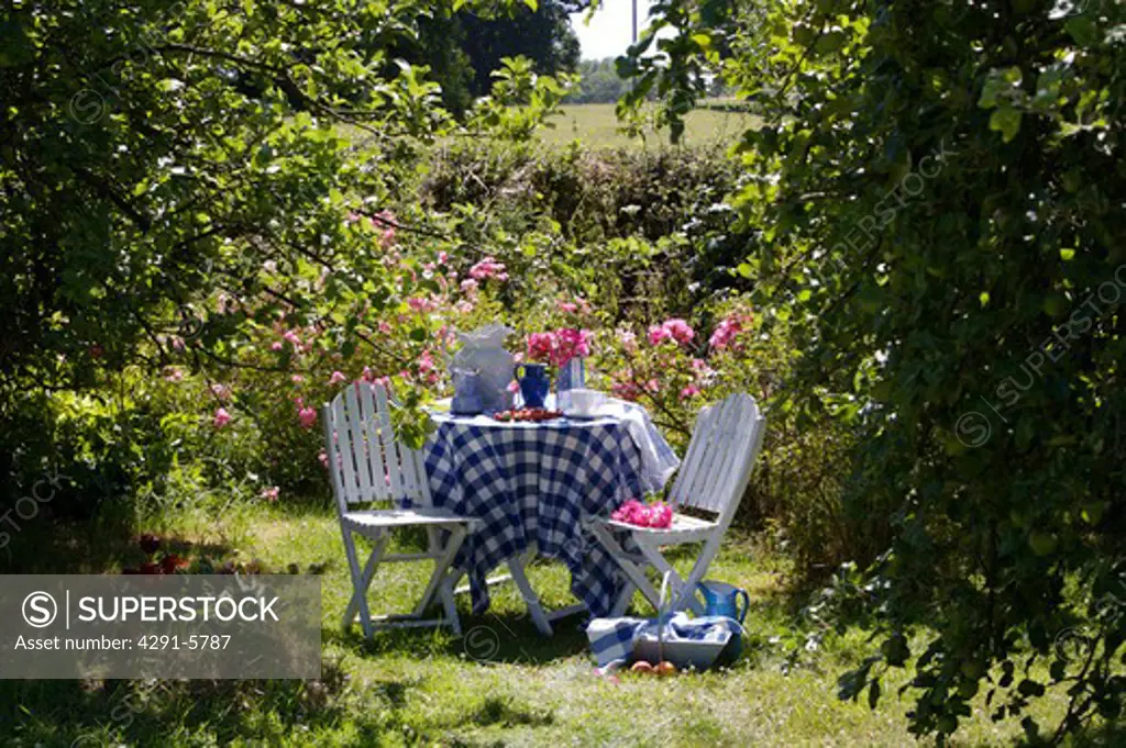White chairs and table with blue and white checked cloth in country garden in summer