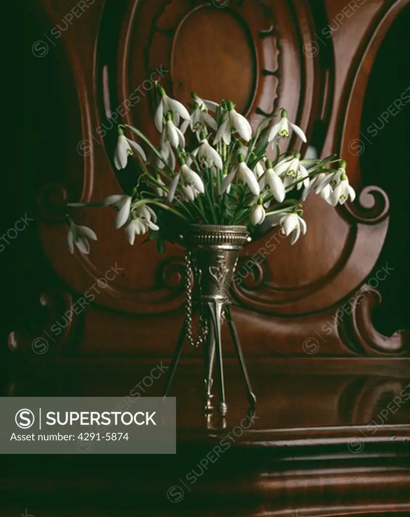 Spring floral arrangement of white snowdrops in small silver stemmed vase