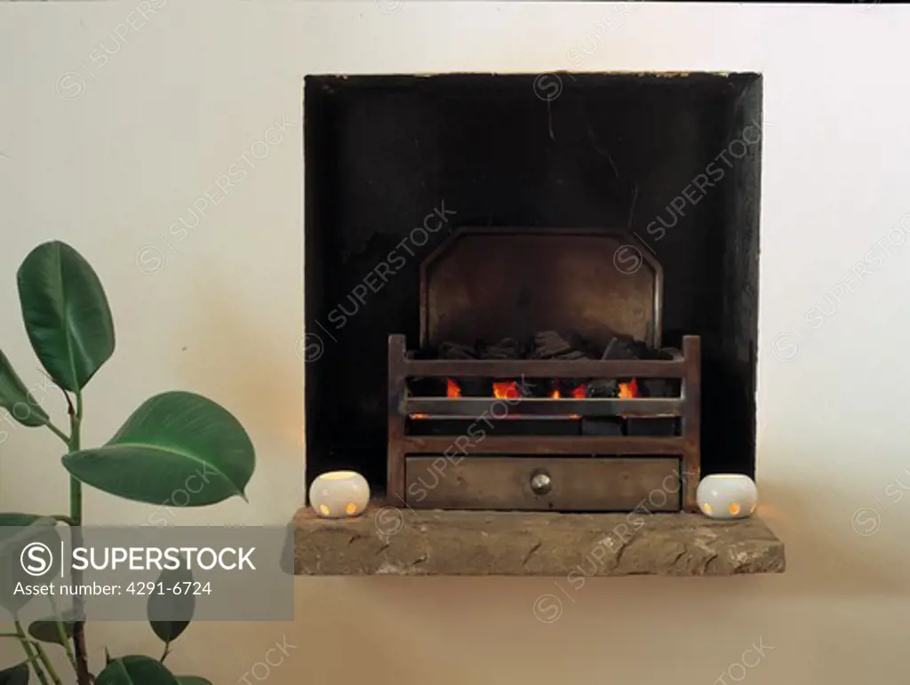 Rubber plant beside modern fireplace in basement living room
