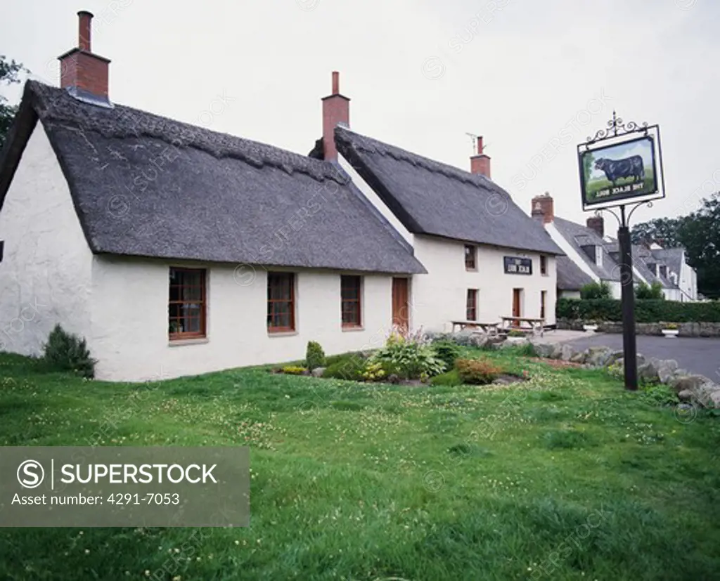 Traditional white painted country pub with thatched roof and sign on the lawn