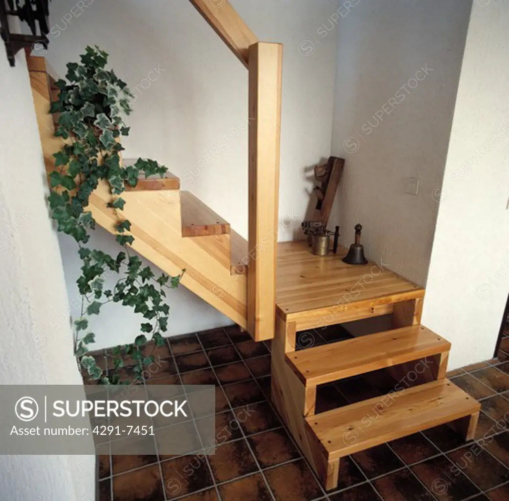Brown ceramic tiled floor and simple wooden staircase in small white hall with trailing green houseplant