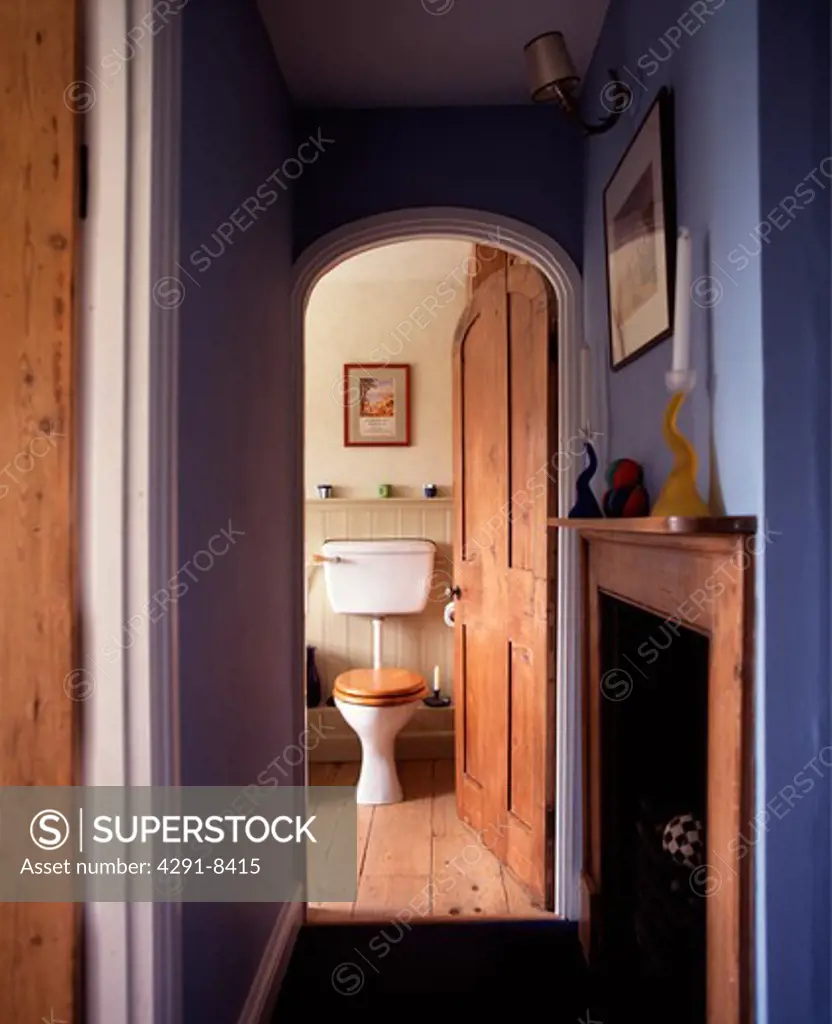 Fireplace in blue bathroom with arched pine door open to seperate toilet with wooden floor