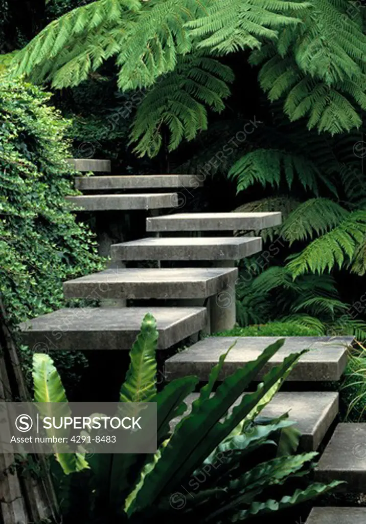 Stone stepsflanked with hart's tongue fern and tree ferns
