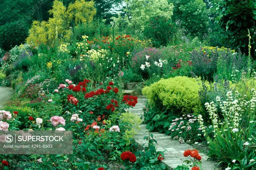 Paved path through colourful border with roses in country garden in summer