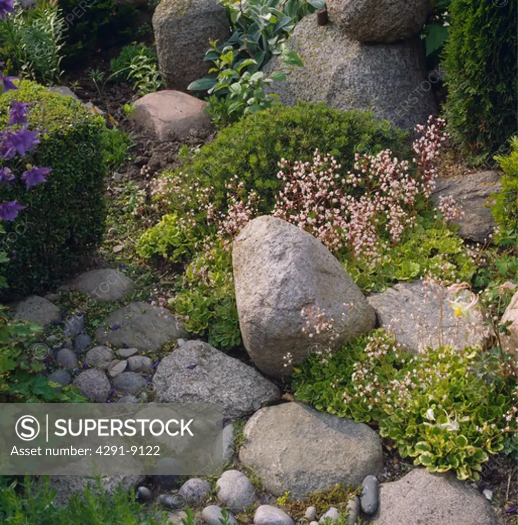 Large smooth stones in rockery garden