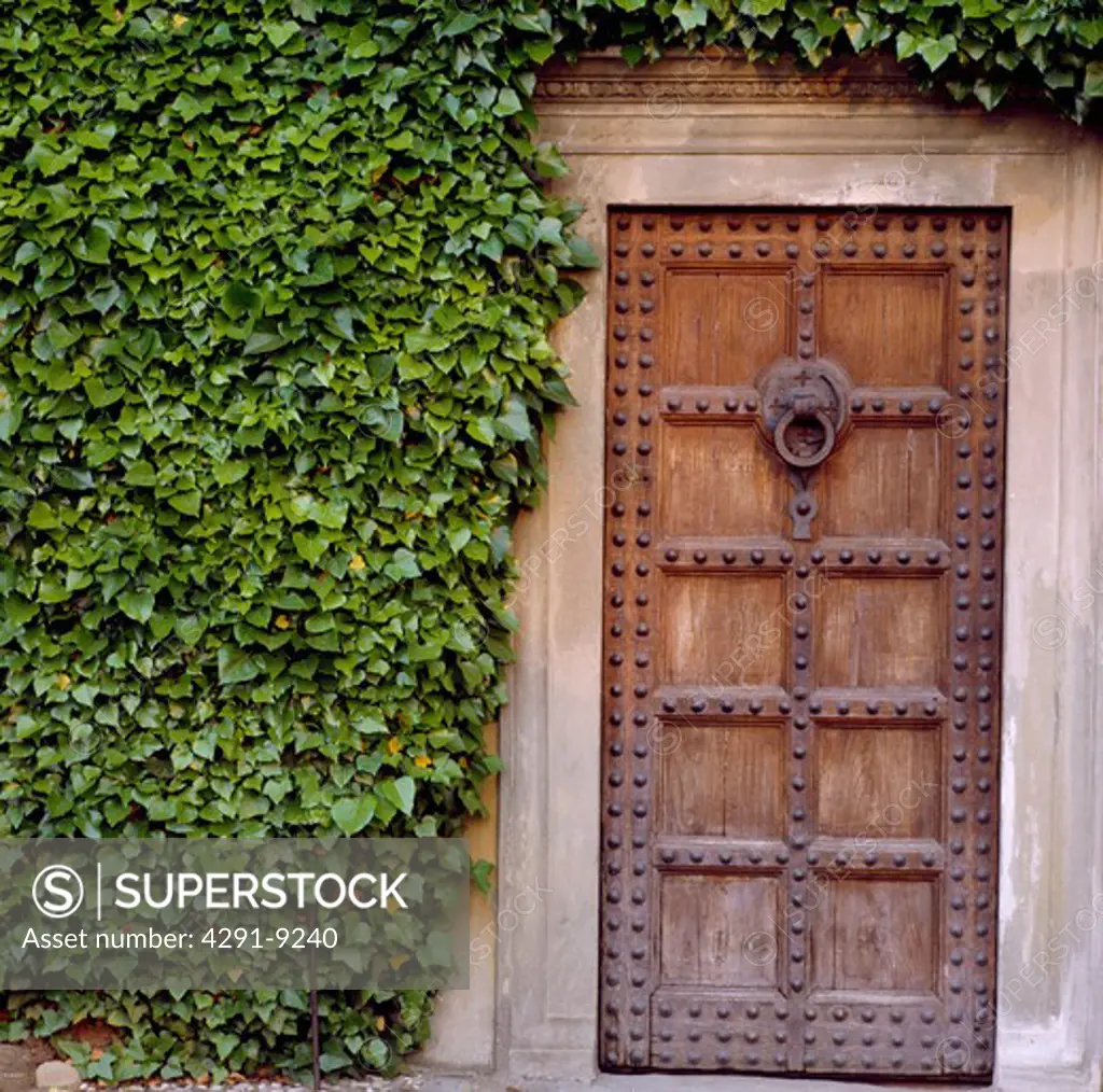 Close-up of traditional studded wooden front door in ivy-covered wall