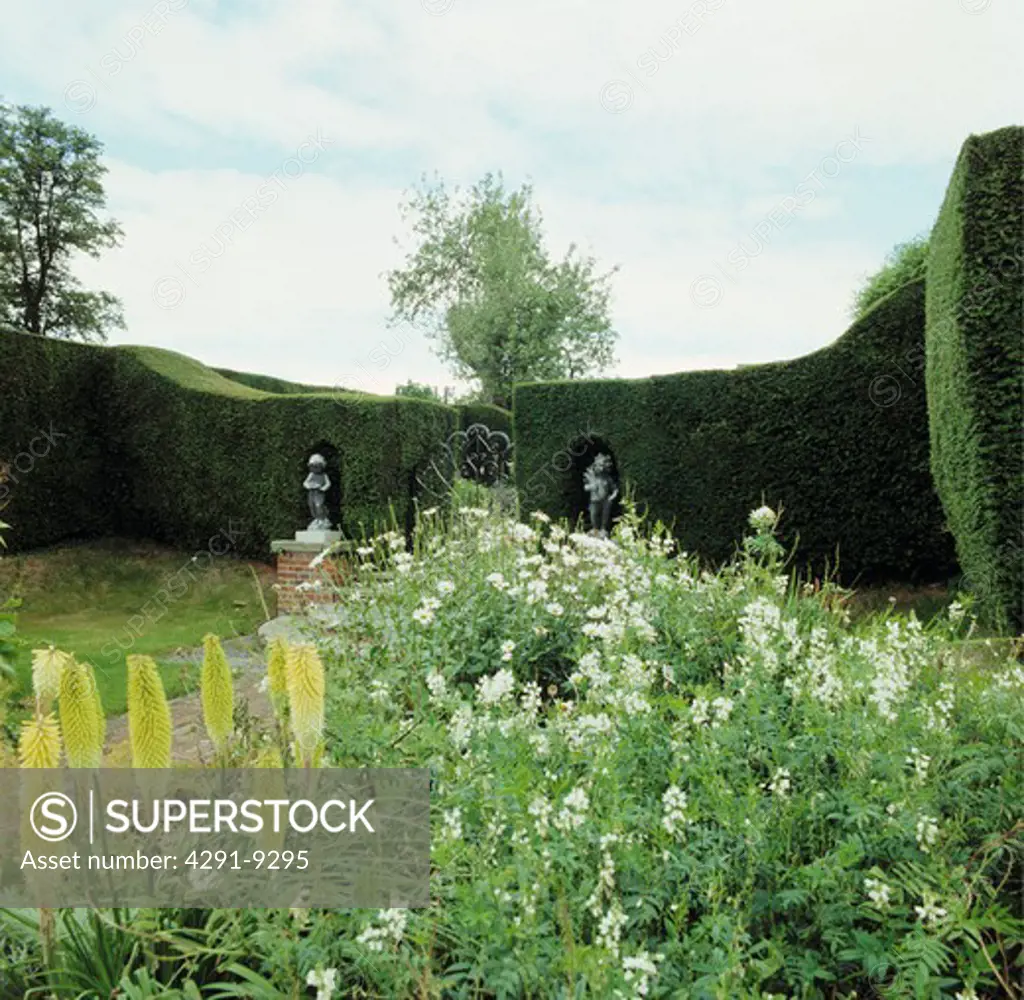 Clipped hedges in formal country garden in summer