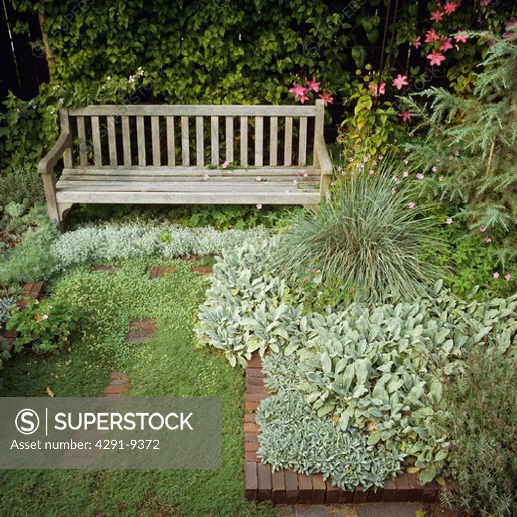 Wooden bench in country garden in summer