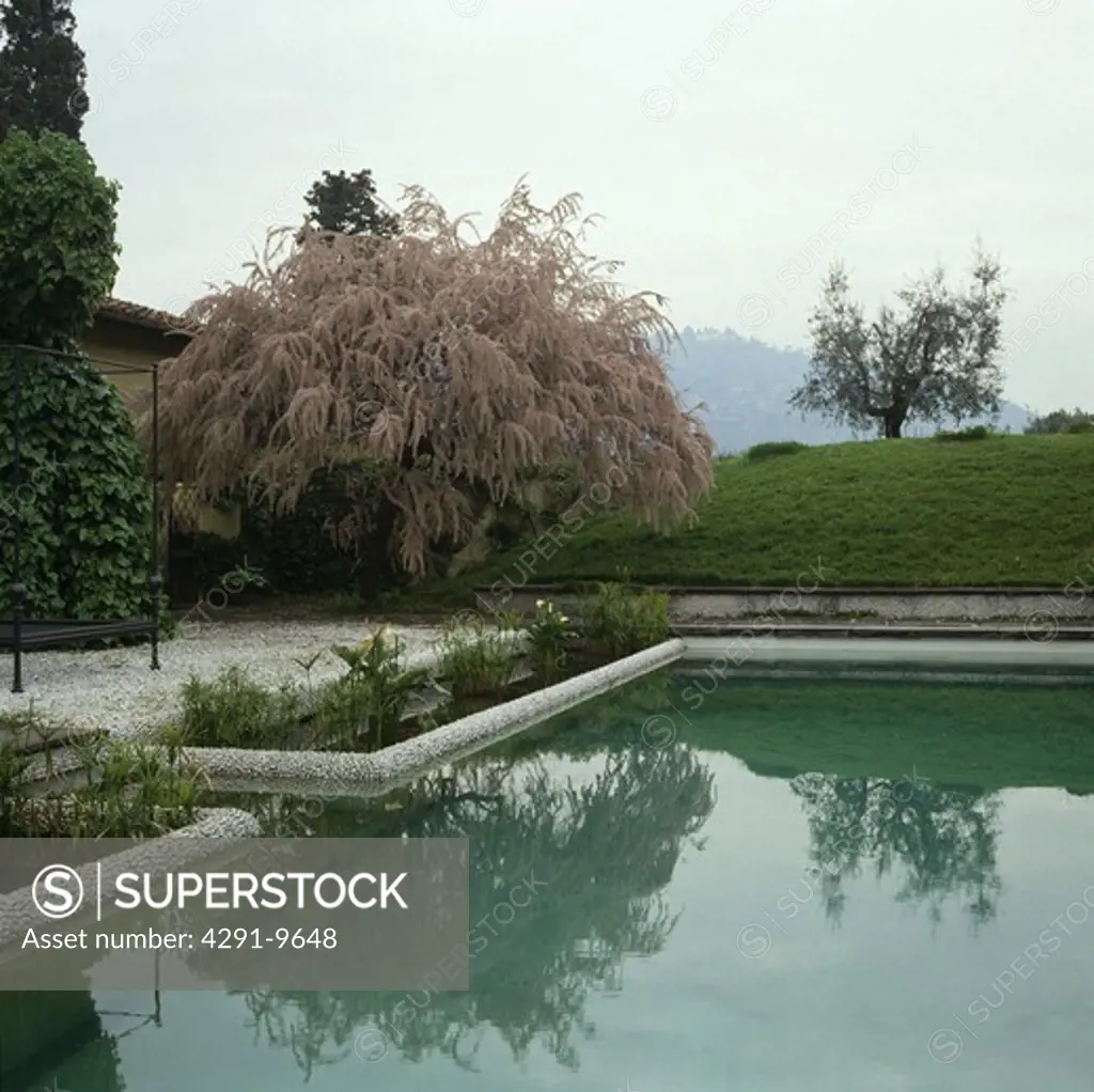 Swimming pool in Italian country garden