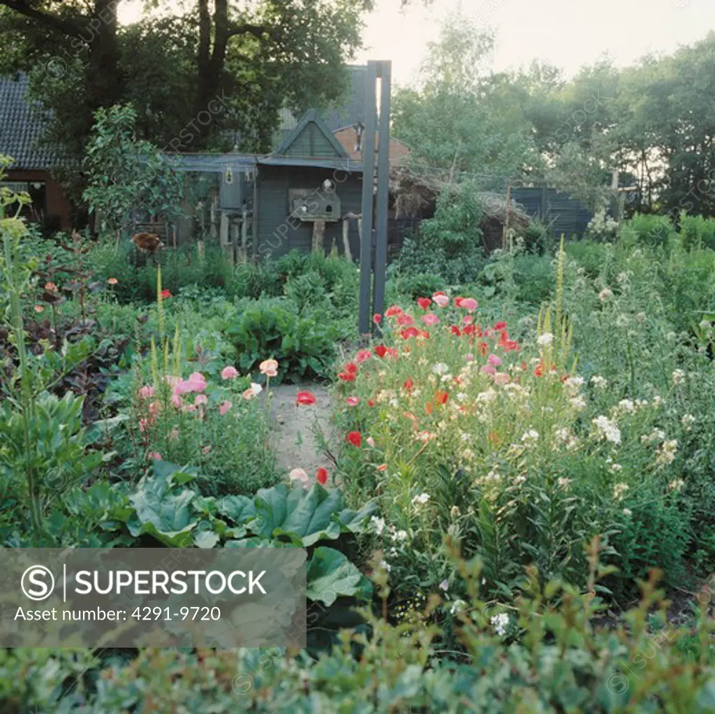 Flowers and vegetables in large country garden in summer