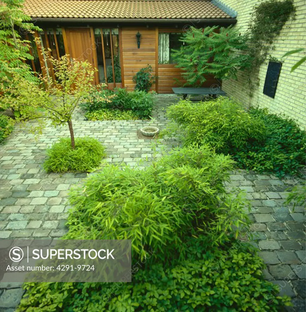 Courtyard with granite sets with small beds of evergreen bamboos and groundcover