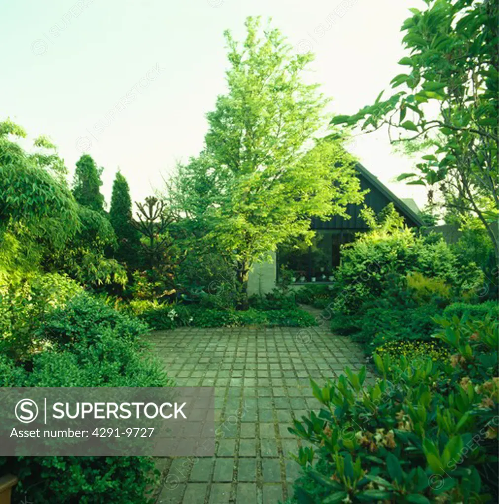 Stone paving in small country green garden in summer