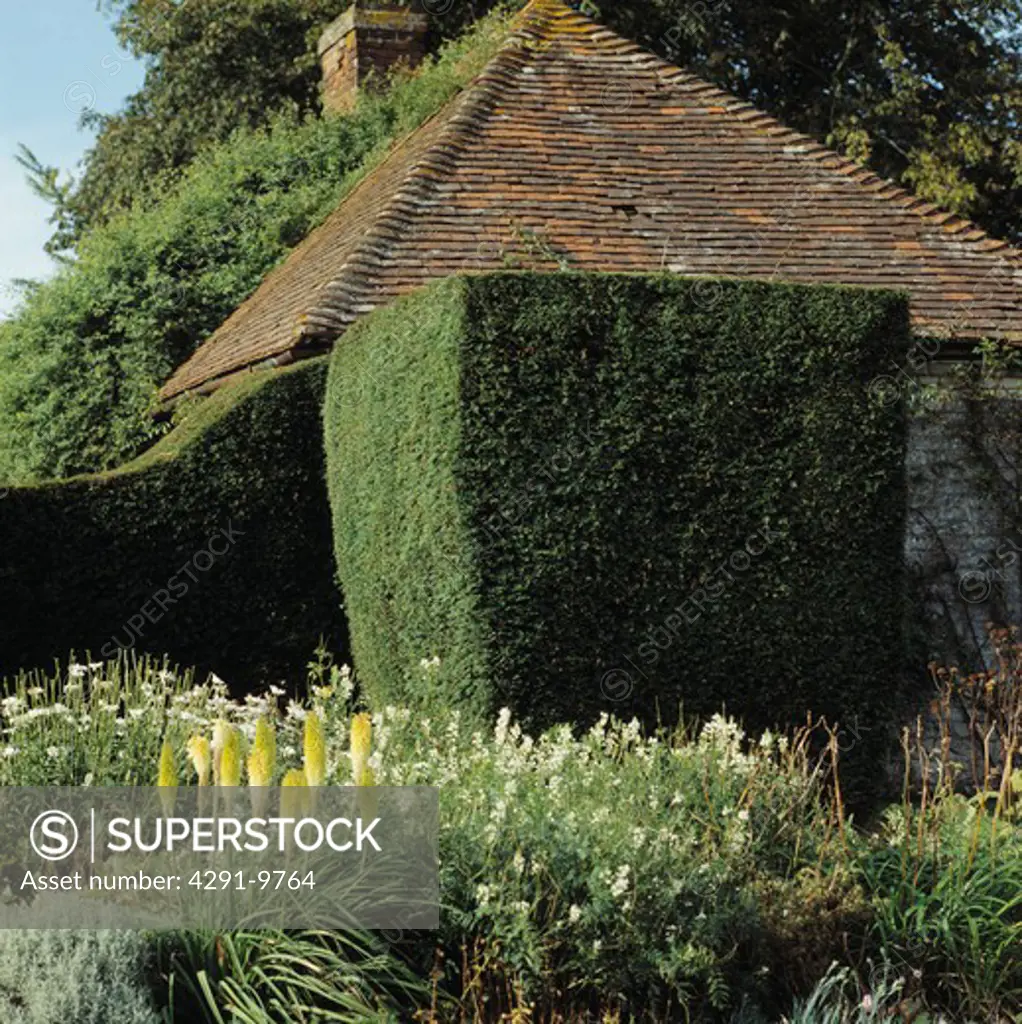 Clipped hedges in large country garden