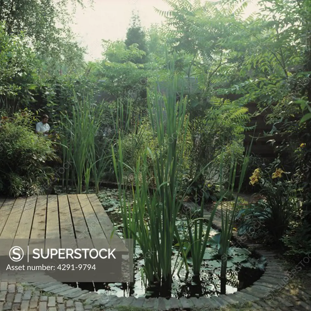 Wooden decking and pond with tall green plants