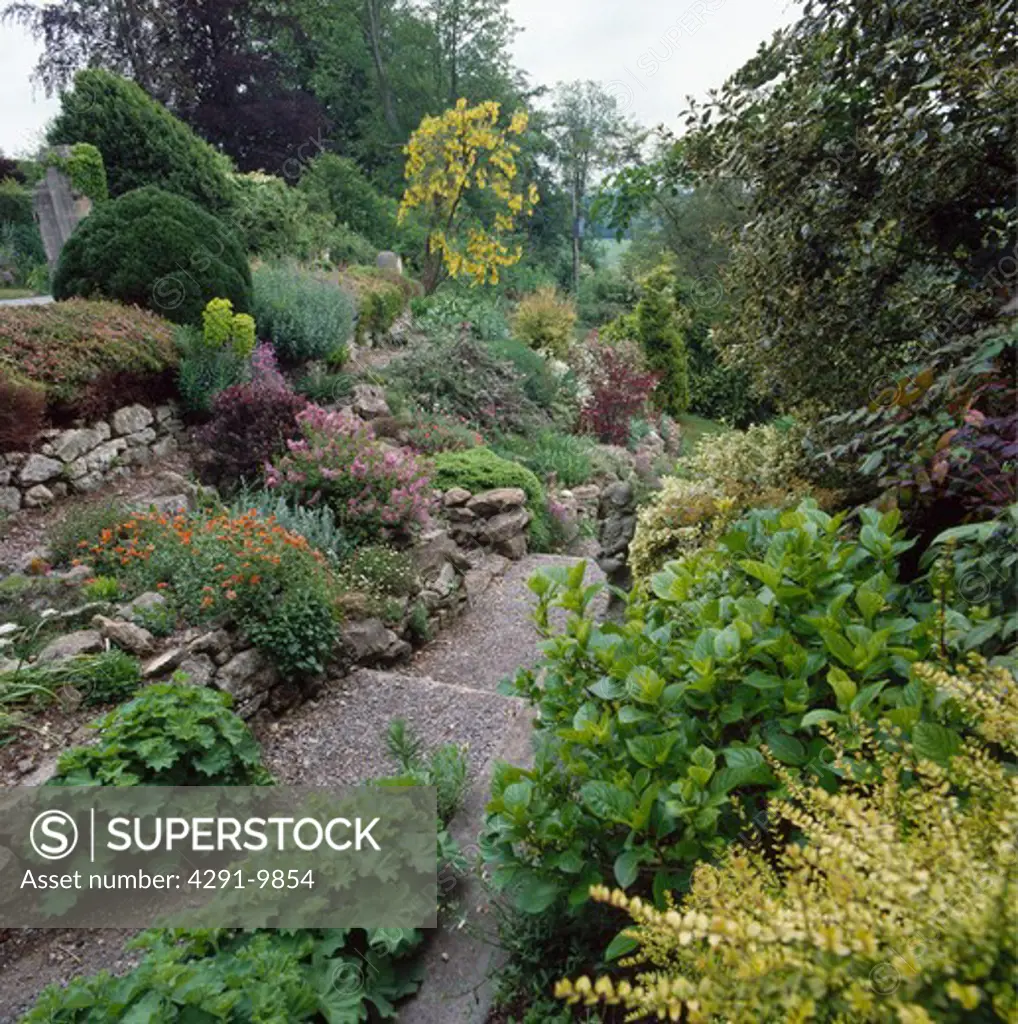 Paved path through rockery in large country garden in summer