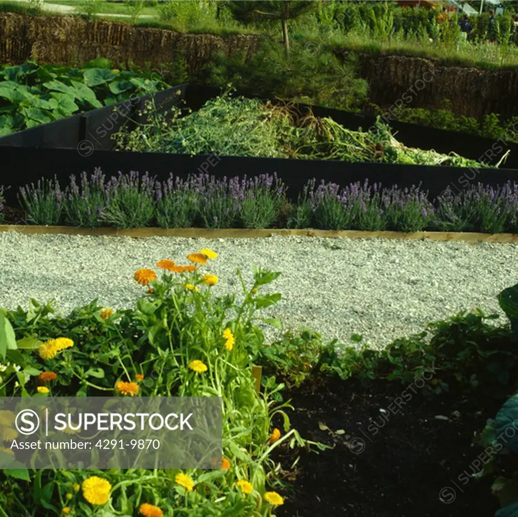 Gravel path through vegetable beds in country garden in summer