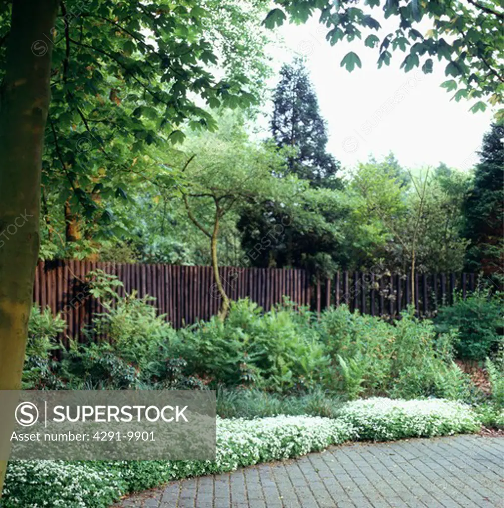 Wooden fence in large country garden in summer