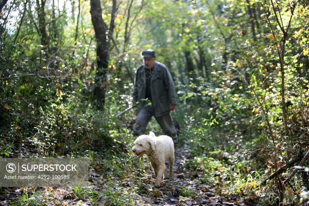 Man walking in forest with dog searching truffles