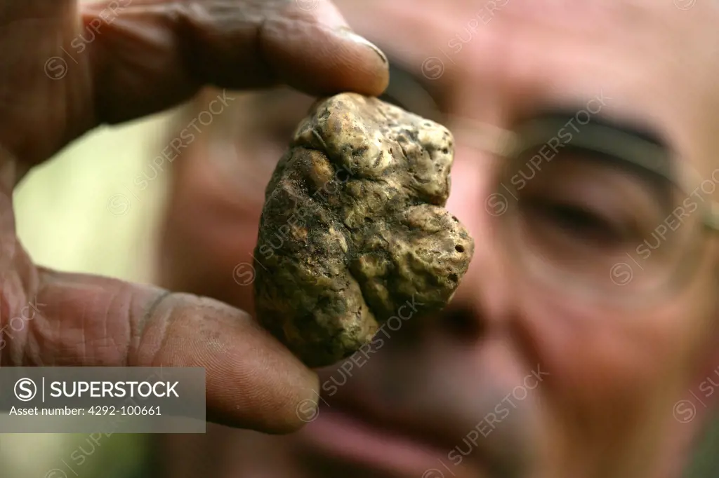 Man holding truffle