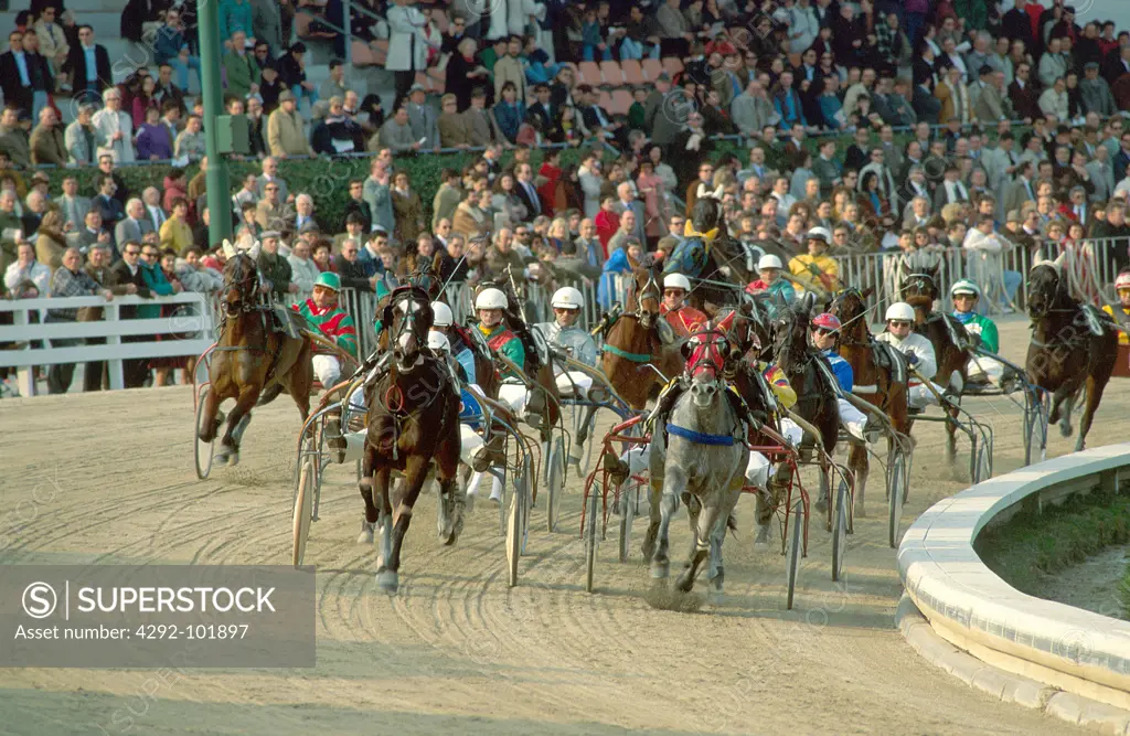 Italy, Veneto, Padua, horse race