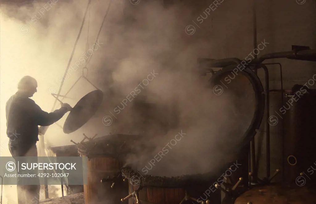 Man working in Nonino Grappa distillery, Percoto, Friuli, Italy