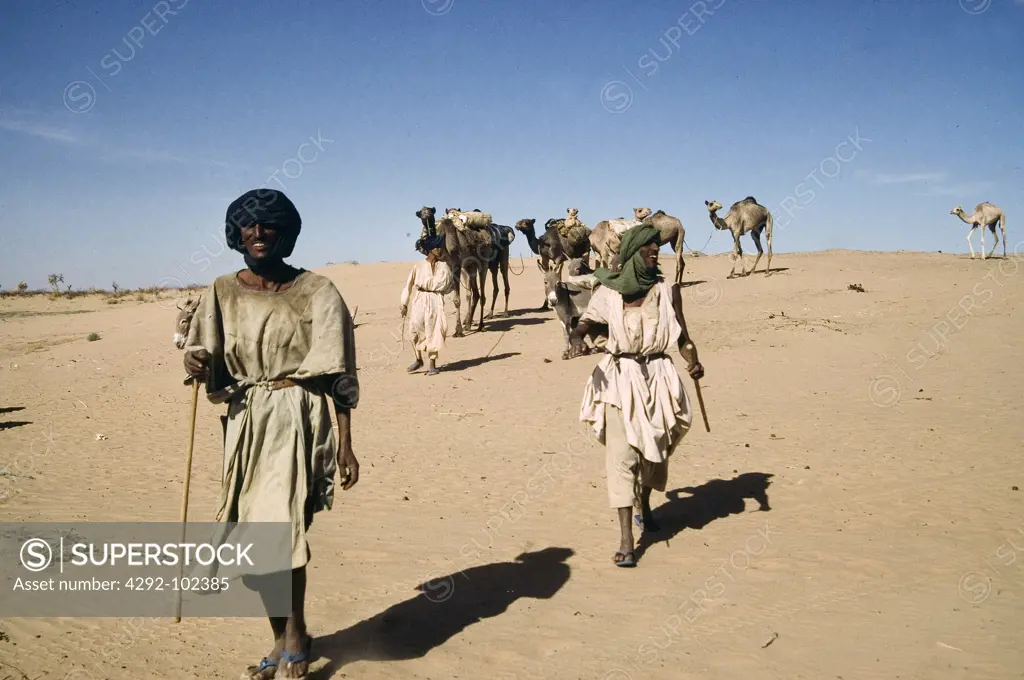 Africa, Mali, Tuareg caravan