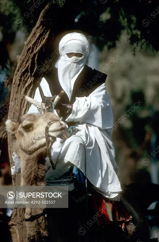 Algeria, the Sahara desert. Tuareg riding dromedary