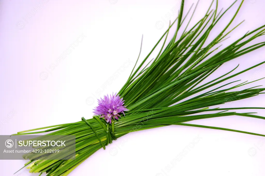 A Bunch of Chives