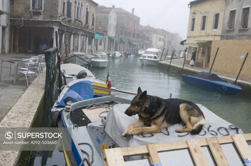 Italy, Veneto, Venice, Murano in a foggy day