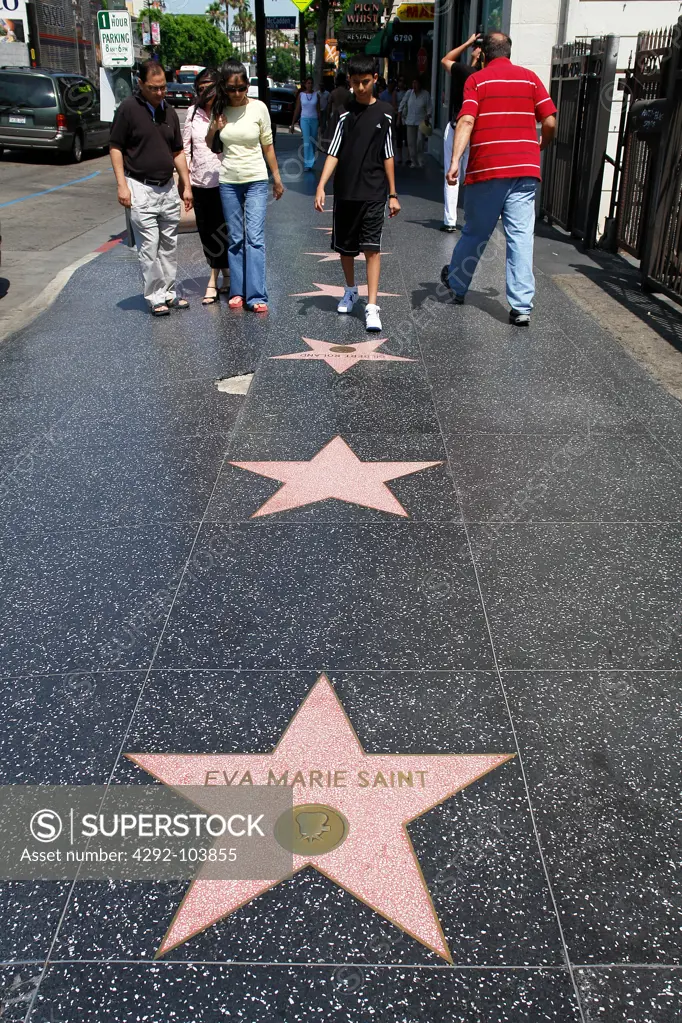 Hollywood Walk of Fame, Los Angeles, California, USA