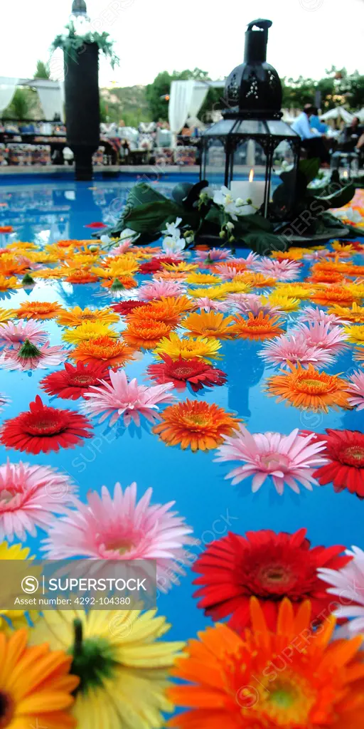 Flower floating on pool