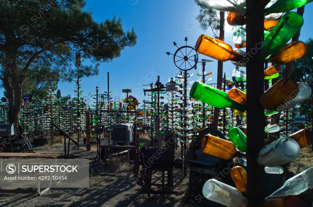 USA, California, Helendale, the Bottle tree ranch on Route 66